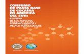 Consumo de pasta base de cocaína en América del Sur: revisión de ...
