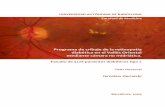 Programa de cribaje de la retinopatía diabética en el Vallès Oriental ...