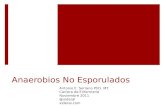 Curso de Microbiología - 18 - Anaerobios No esporulados