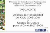 Aguacate en Michoacán - Análisis de Rentabilidad del Ciclo 2006