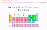 Formulación y Nomenclatura Inorgánica.pdf