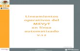 Lineamientos operativos del MEVyT en línea automatizado v.12