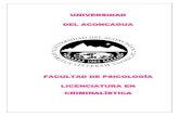 UNIVERSIDAD DEL ACONCAGUA FACULTAD DE PSICOLOGÍA ...