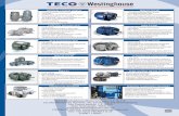 TECO-Westinghouse Motor Company SA de CV Circuito Mexiamora ...