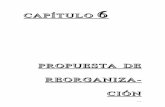 CAPÍTULO 6 PROPUESTA DE REORGANIZA- CIÓN