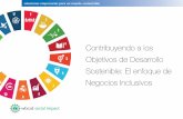 Contribuyendo a los Objetivos de Desarrollo Sostenible: El enfoque ...