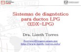 Sistemas de diagnóstico para ductos LPG