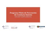 Programa Piloto de Prevención de Conducta Suicida en Guipuzkoa