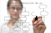 Ciclo de formulacion de proyectos.