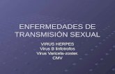 Enfermedades de transmisión sexual(2)