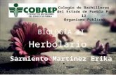 Herbolario 1-2