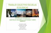 Presentación escuelas ecologicas wiki 6