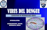 Virus del Dengue