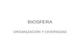 organizacion y biodiversidad