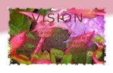 Vision (2)