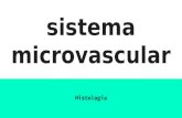 Sistema microvascular