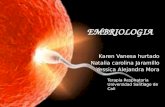 embriologia primera y segunda semana de gestacion