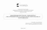 RSC-Una aproximacion a la evaluacion sintetica de la sostenibilidad empresarial
