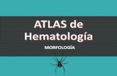 Atlas de hematología