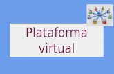 Plataforma virtual (8)