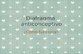 Diafragma anticonceptivo: ¿cómo funciona?
