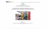 Patrones de Movilidad en el Transporte Público de Andalucía (pdf)