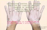 Trastornos de la pigmentación de la piel: Vitiligo, Cloasma