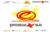 Reporte Expociencias Bajío 2015, clic aquí