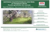 SISTEMAS SILVOPASTORILES CON ÑIRE: en Patagonia Norte ...
