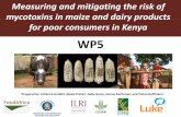 FoodAfrica seminar presentation WP5