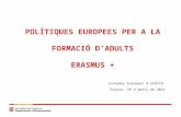 Polítiques europees per als adults (2015)