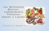 Los  nutrientes básicos carbohidratos,proteinas y lipidos  terminado