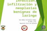 Infección, infiltración y neoplasias benignas de laringe