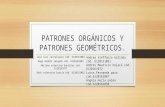 Patrones orgánicos y patrones geométricos