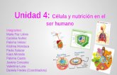 Celula y nutricion en el ser humano Cs. Naturales 8°B