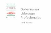 Gobernanza, liderazgo y profesionales. Jornada Precongresual. El futuro de los hospitales. Cádiz 17 de junio de 2016