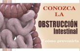 Prevención de la Obstrucción intestinal
