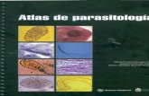 Atlas de parasitología dr