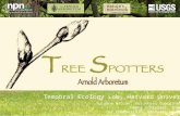 Tree spotter bbq presentation