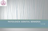 Patologia genital benigna
