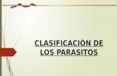 Clasificaciòn de los parasitos 2016