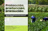 Protección, producción, promoción: explorando sinergias entre protección social y fomento productivo rural en América Latina