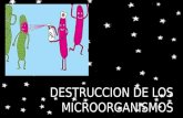Destruccion de los microorganismos