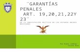 Exposcion garantias penales version 2