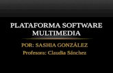 Plataforma software multimedia