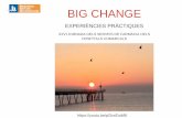 3a. Pilar Otermin. Taula rodona "Big change: experiències pràctiques"