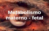 Metabolismo materno - fetal