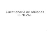 Cuestionario Preparación para Apoderado Aduanal o CENEVAL Comercio Exterior