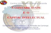 A Contabilidade e o Capital Intelectual
