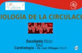 Circulación fisiológica del corazón (Dr J.F. Gualajara)
